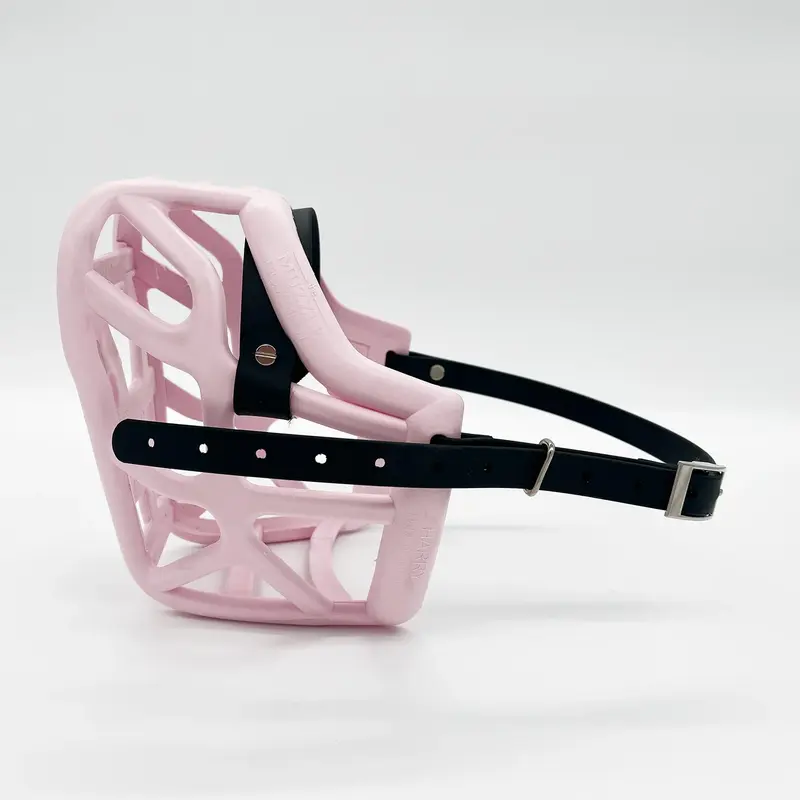 Harry Muzzle - The muzzle movement