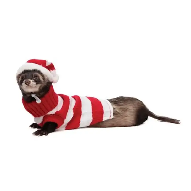 Hat & Sweater Set