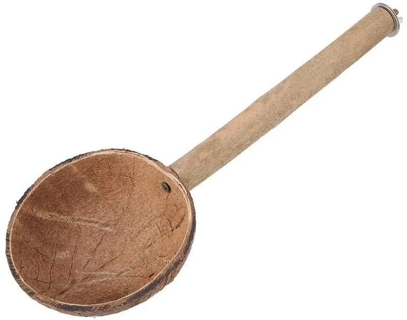 HEEPDD - Comedero de pájaros con perchas, concha de coco natural, contenedor de semillas de comida, soporte para pájaros, juguetes para pájaros y pájaros