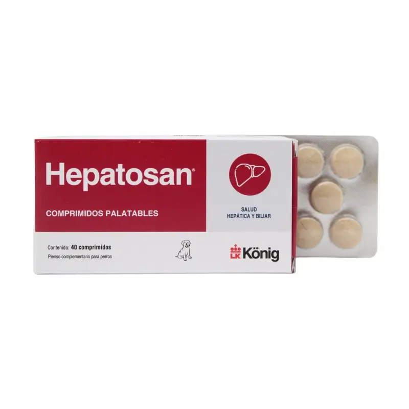 Hepatosan (40 comp.) – König