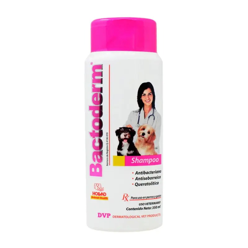 Holland Bactoderm Shampoo 350Ml