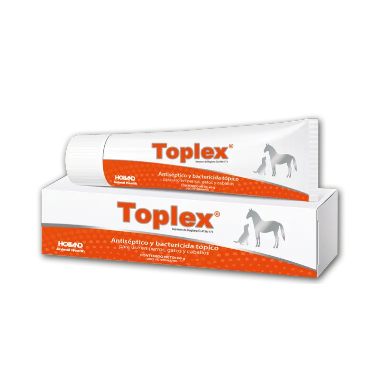 Holland Toplex 60 G