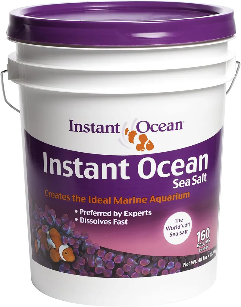Instantáneo Océano Sal de Mar