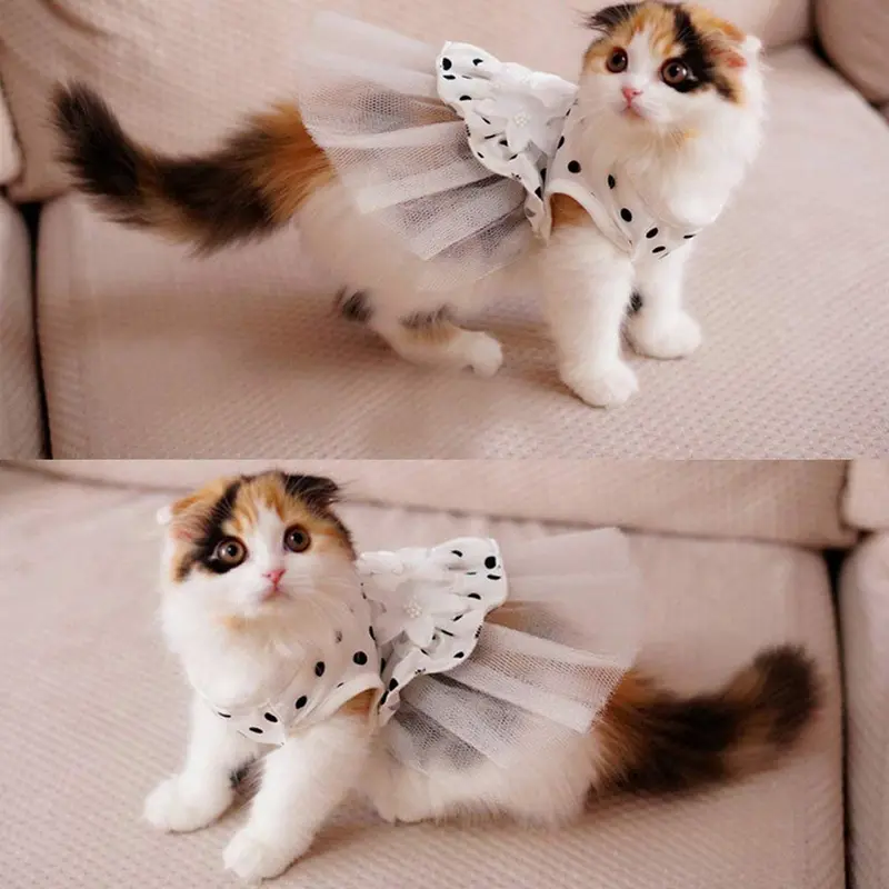 i'Pet® vestido de bodas para mascotas, con tutú y estampado floral, vestido de gala para la foto, ropa de tela elastizada, para la primavera y el verano, para animales pequeños