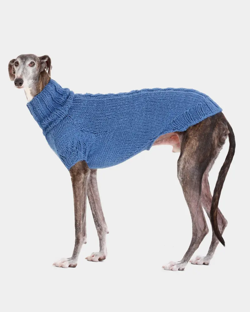JERSEY PUNTO AZUL - GALGO (A MEDIDA)