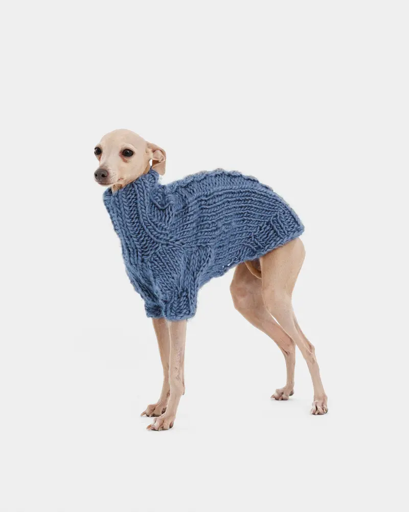 JERSEY PUNTO AZUL - WHIPPET (A MEDIDA)