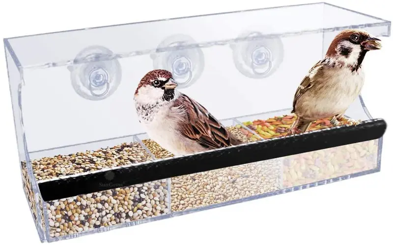 Juego de alimentador de pájaros de cristal acrílico, a prueba de derrames, transparente, económico, perca que proporciona tiempo de comer para fregar, parakeet, gorriones, tamaños de jaula, Plateado