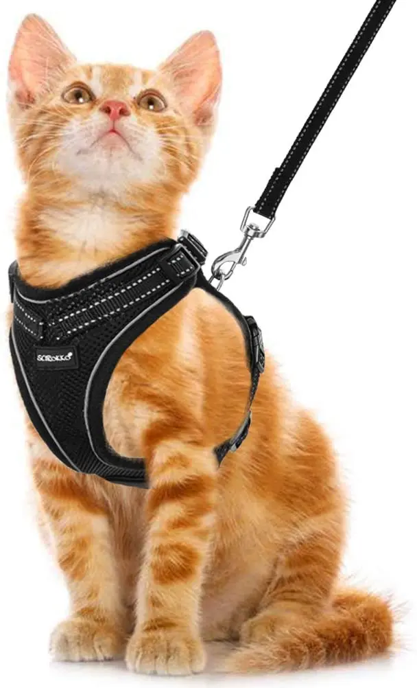 Juego de arnés y correa para gato, reflectante ajustable para gatos, para caminar al aire libre, con hebilla a prueba de escape, chaqueta de malla suave para gatos, cachorros