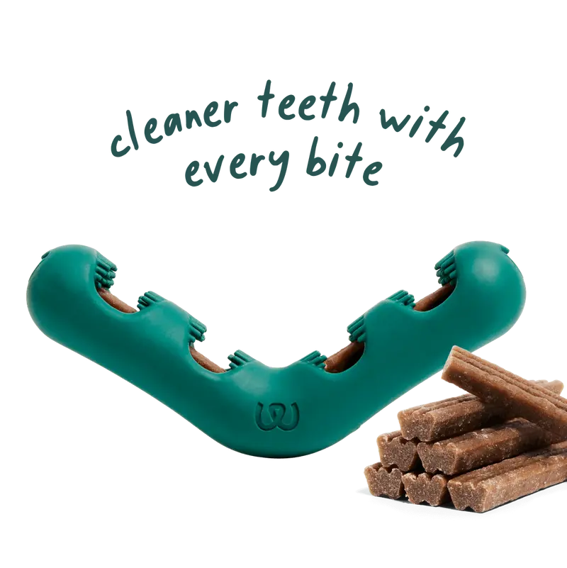 Juguete Bite n' Brush para Perros | Salud Dental y Diversión con Cada Mordida de Woof