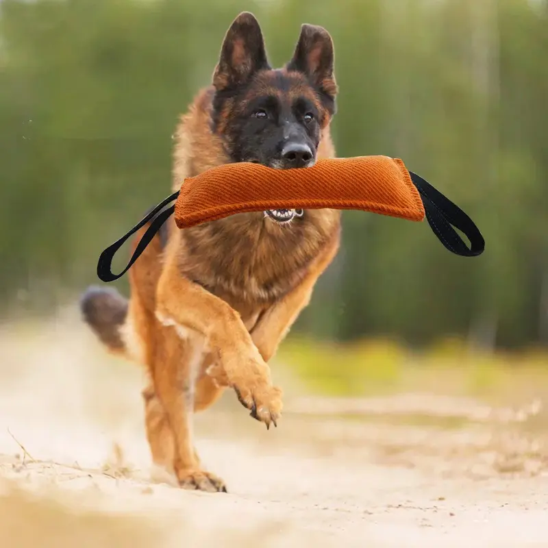 Juguete de Arrastre para Perros - Almohadilla de Yute Resistente para Entrenamiento