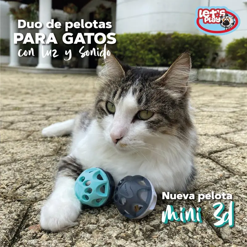 Juguete Gato Duo Mini 3d Let's Play