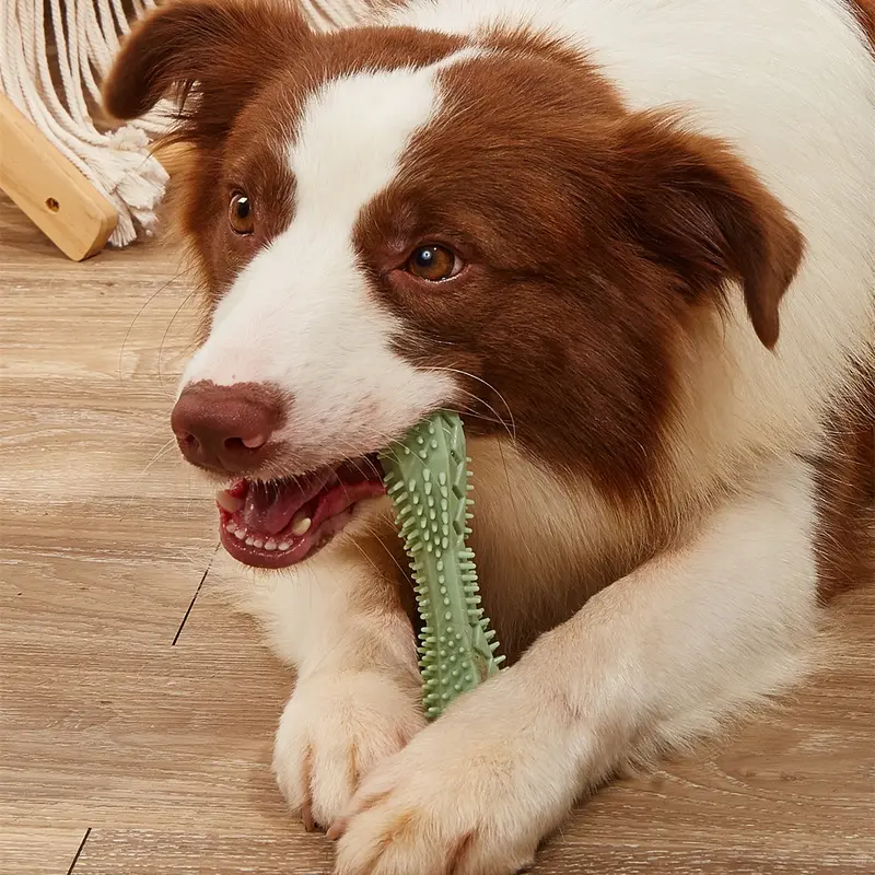 Juguete Masticable para Perros - Limpieza Dental de TPR Hexagonal