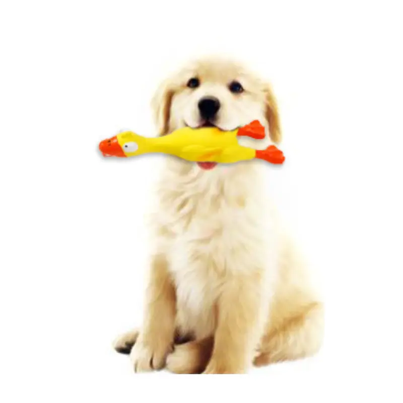 Juguete Perro Pato Let's Play