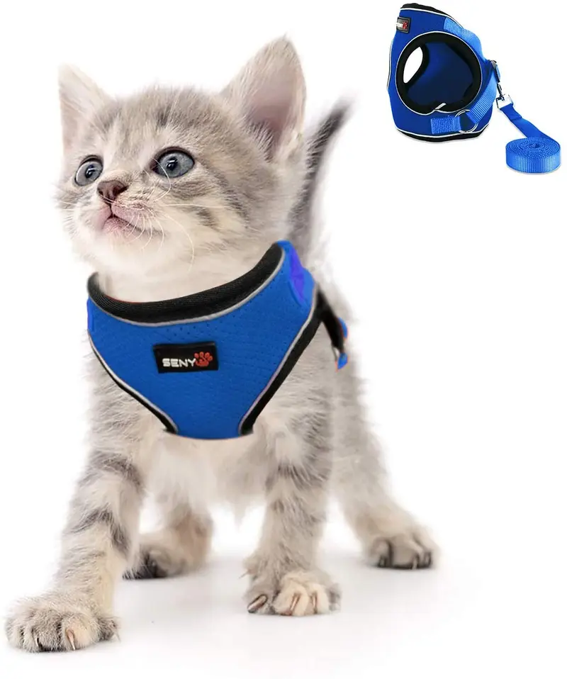 Kamots Beauty - Arnés y correa ajustables para perro y gato, malla suave con correa reflectante para pasear a mascotas pequeñas