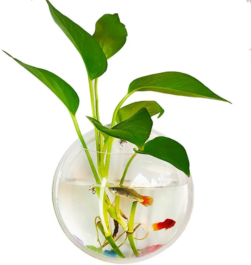 Kathson - Cuenco de pescado de acrílico para colgar en el acuario o en la pared (7.3 in)