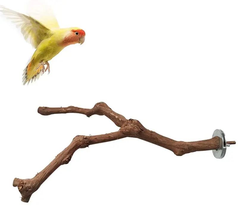 Kathson Parrot Perches, Pájaros Soporte Natural de Uva Silvestre Palo de Molienda de Canina Escalada de Pie Accesorios de Juguete Ramas para Parakeet, Budgies, Lovebirds