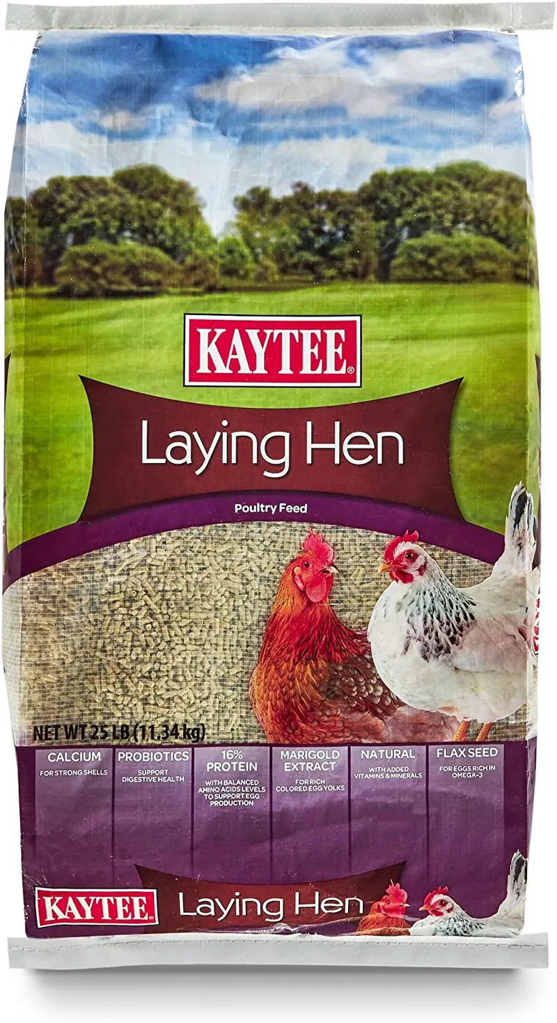 Kaytee dieta de gallina ponedora