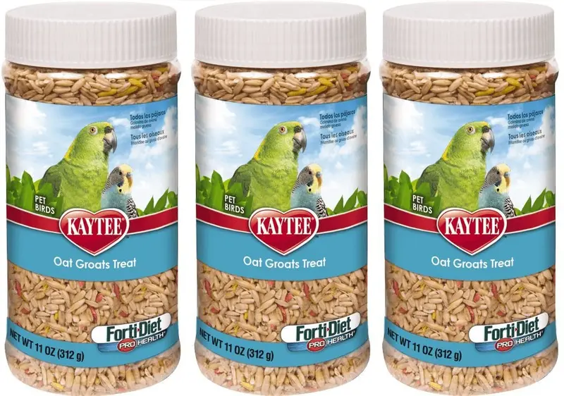 Kaytee Forti dieta Pro Salud Avena Groats tratar Jar para mascotas, 11-Ounce by Kaytee