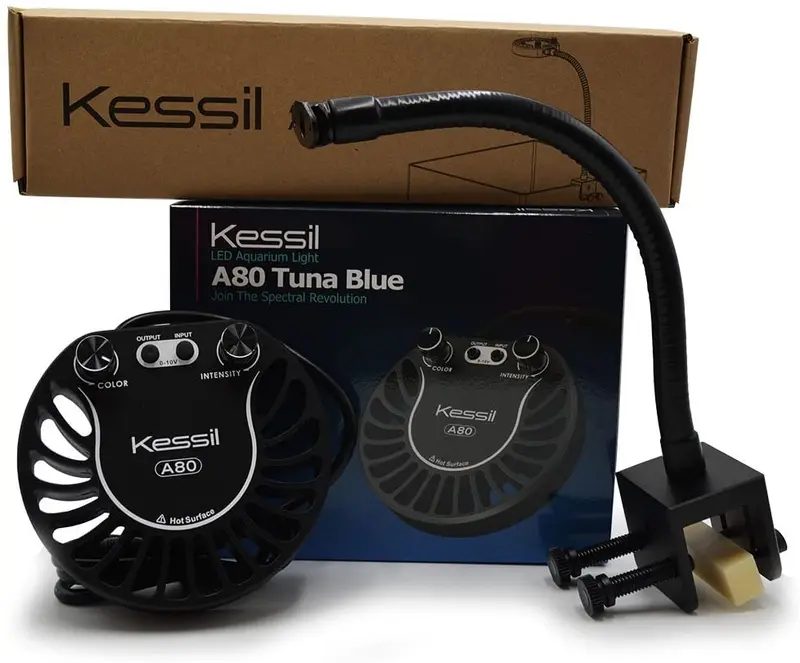 kessil Atún Azul A80 Luz LED w/Mini cuello de cisne