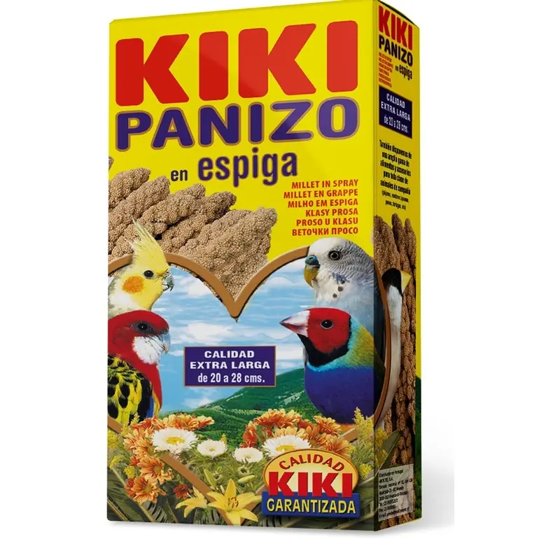 Kiki Panizo Espiga