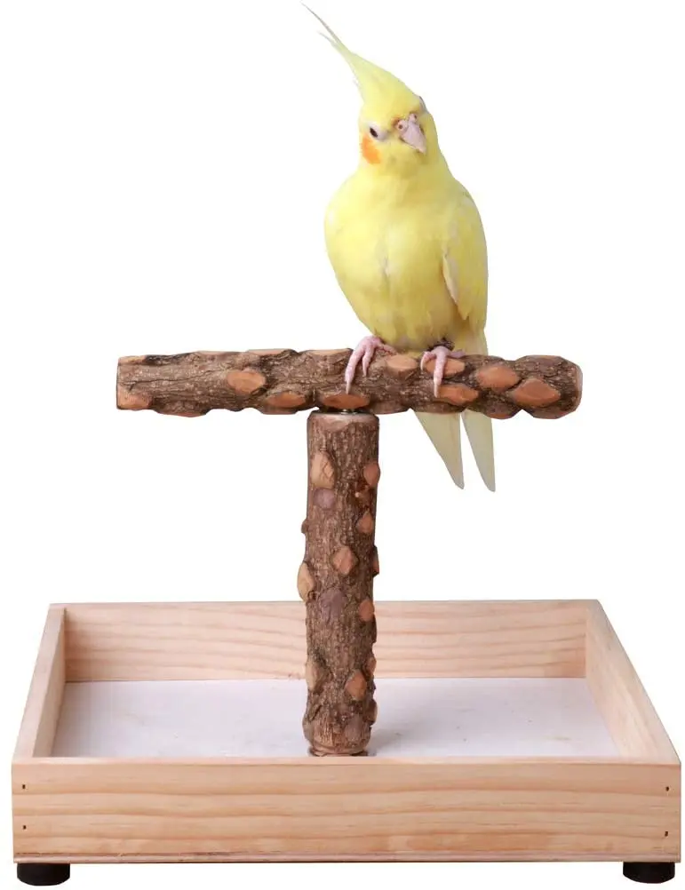 KinTor - Soporte de madera para loros pequeños y medianos
