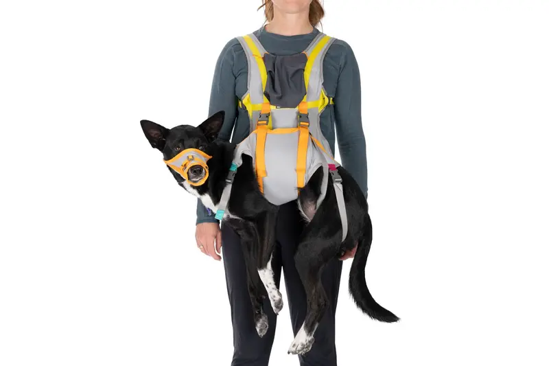 Kit de Evacuación para Perros - BackTrak