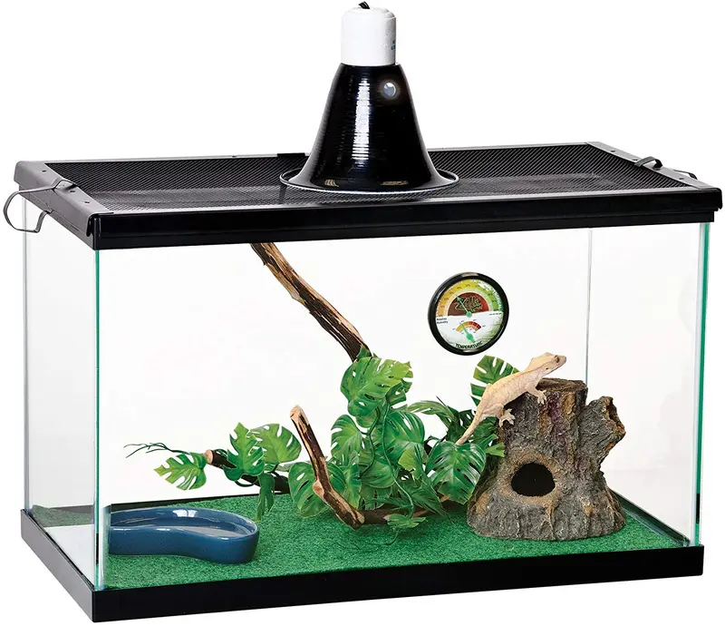 Kit de iniciación en reptiles Zilla, 10 con luz y calor