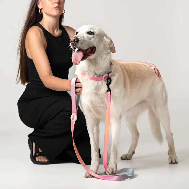 Kit de paseo collar // SUNRISE