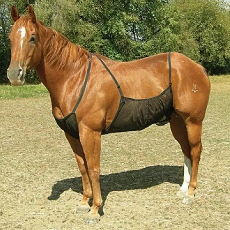 KOET - Mosquitera de malla para caballo, ajustable, protección para el vientre, elástica, malla de flujo de aire, antimosquitos e insectos para adultos