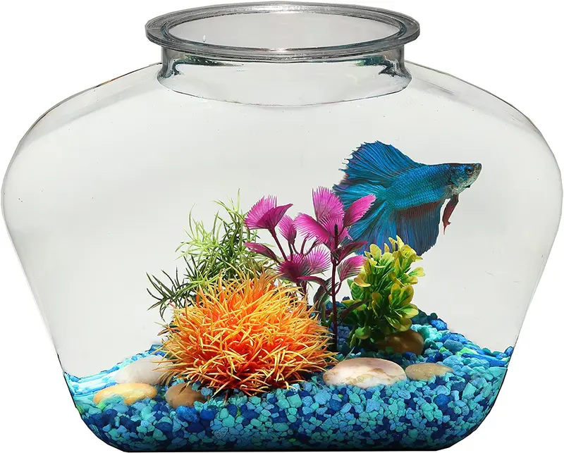 Koller productos bl20lpet bettatank 2 galones Deco