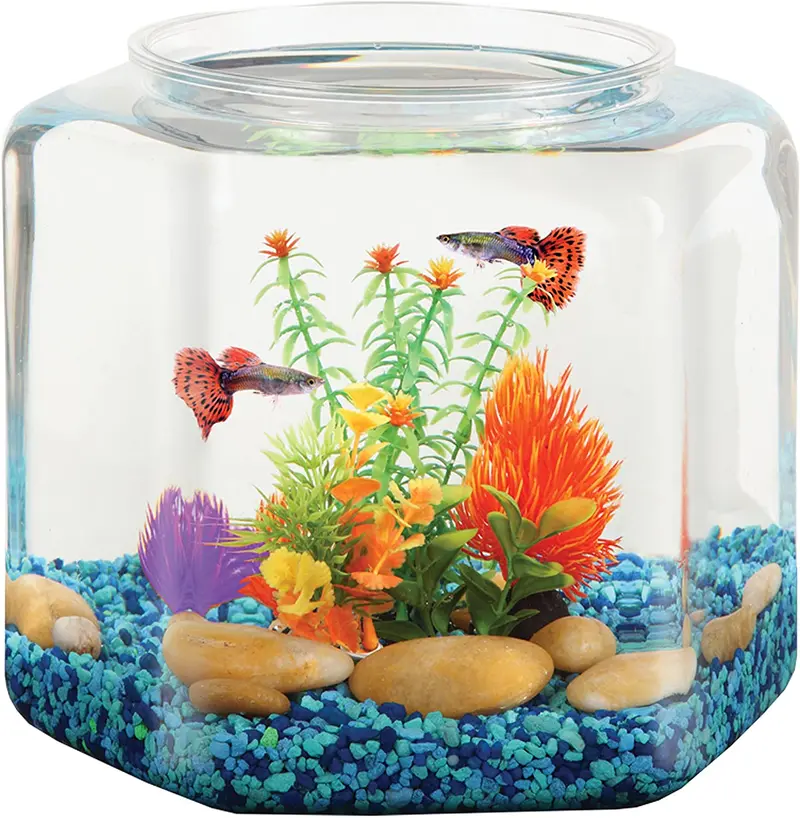 Koller Products BettaTank - Cuenco hexagonal para pescado (2 galones)