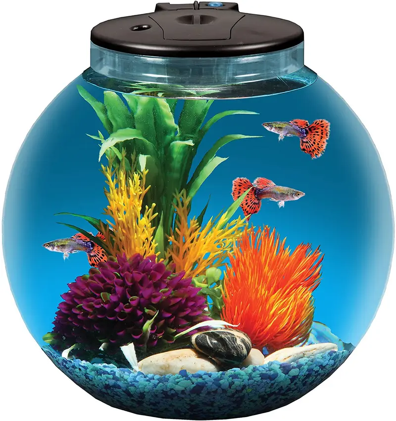 kollercraft ap30000if-ffp 3 galones Kit de acuario
