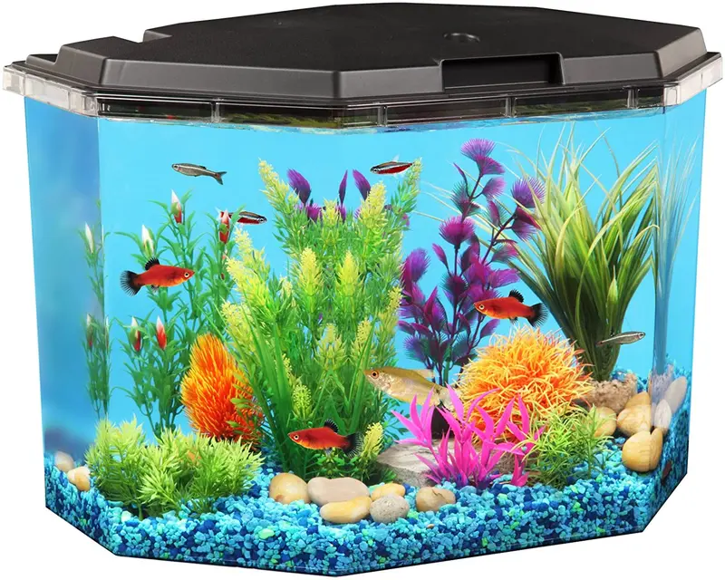 KollerCraft, juego para acuario de 6.5 galones con filtro interior e iluminación LED