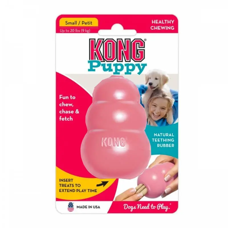 Kong Puppy