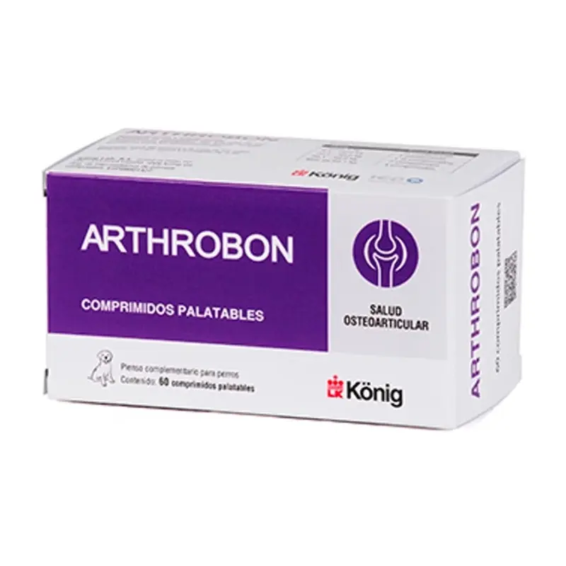 König Arthrobon