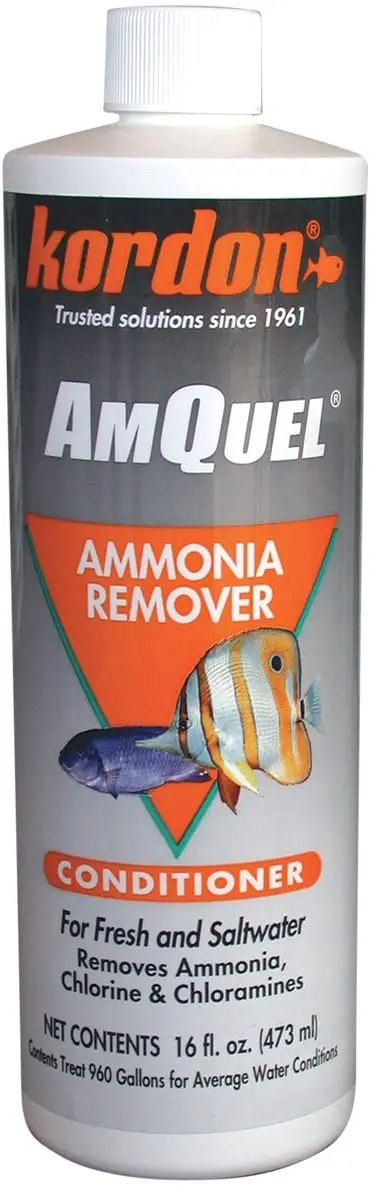 Kordon # 31256 amquel- Amoniaco desintoxicante para Acuario, 16-ounce
