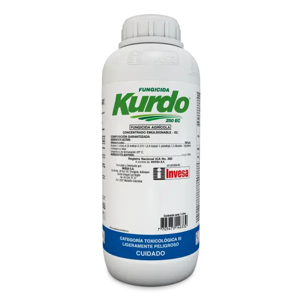Kurdo