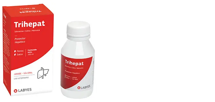 Labyes Trihepat 100Ml Jarabe