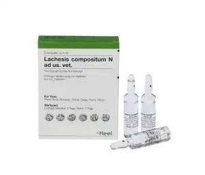 Lachesis Compositum Ad Us Vet X 5 Ml