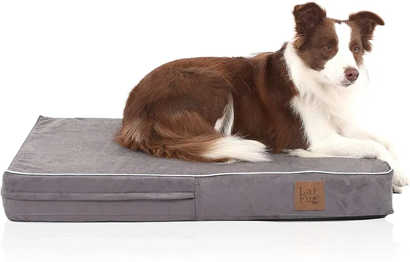 Laifug - Cama ortopédica de espuma viscoelástica para perro con forro impermeable duradero y funda extraíble lavable