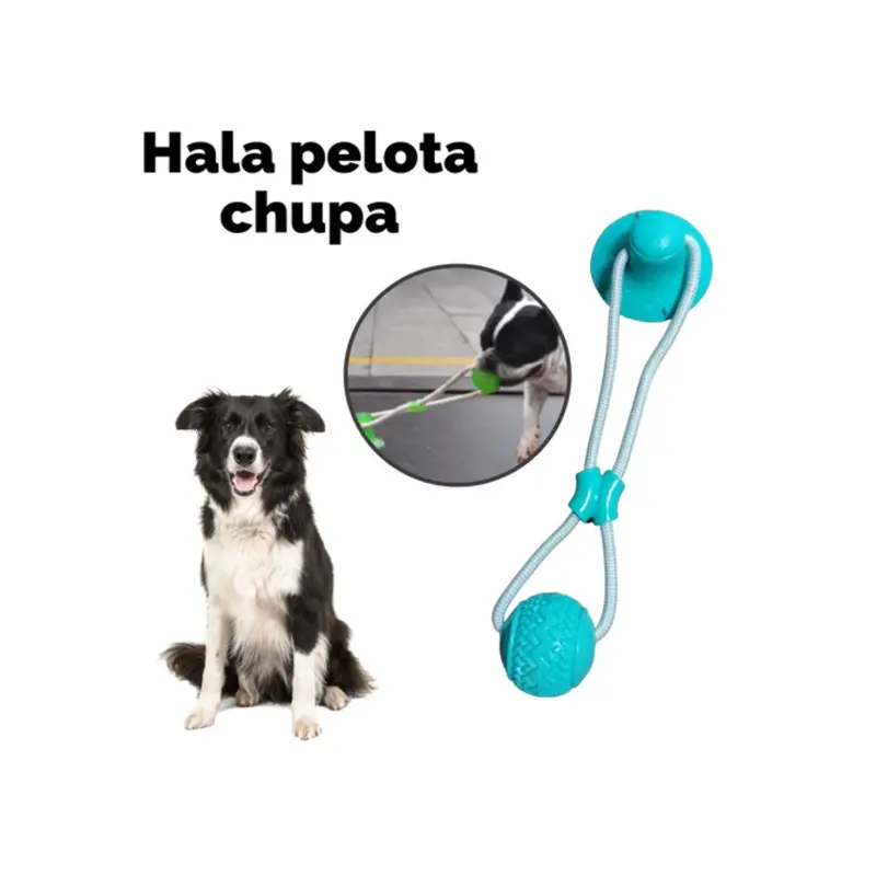 Lazo Para Perro Campana Con Pelota