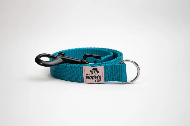 Leash Correa personalizable - Azul turquesa