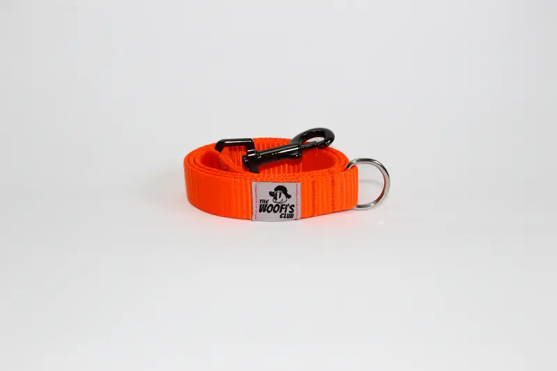 Leash Correa personalizable - Naranja