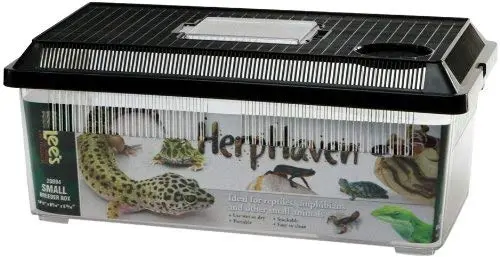 Lee de Herp Haven Criador Box, Small