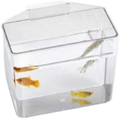 Lee de PET Productos ale10516 Heavy Duty Specimen contenedor para Acuario, pequeña