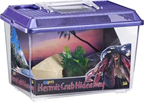 Lee's Hermit Crab Hideaway