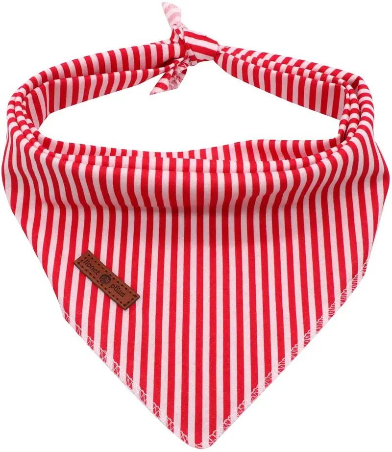 Lionet Paws Bandana para perro pequeño, mediano y grande, pañuelo para perro o gato