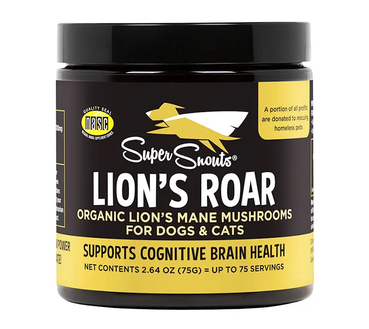 Lion's roar