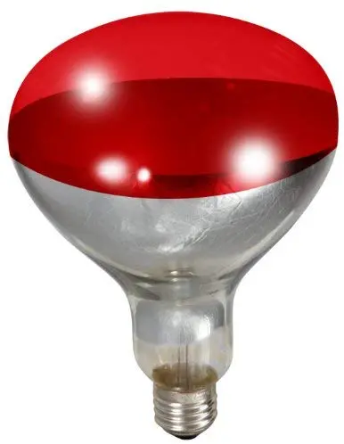 Little Giant 250-watt Rojo Brooder foco de recambio para lámpara