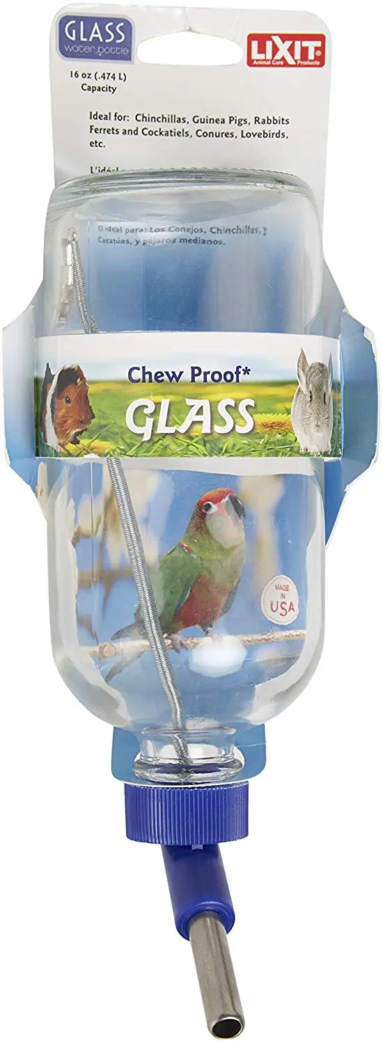Lixit Glass Water Bottle